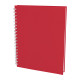 SEĞMENLER KIRMIZI KARELİ TARİHSİZ DEFTER (19X25 CM) Promosyon TARİHSİZ DEFTERLER